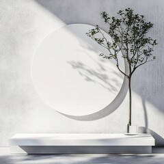 Minimalist interior scene with round canvas and plant