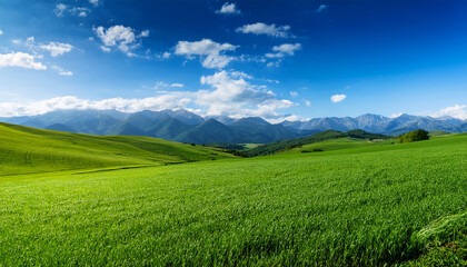 Fototapeta premium Lush Green Fields Under Blue Sky With Mountains In Distance