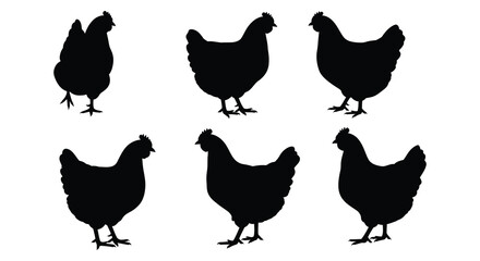 Six black silhouettes of chickens facing different directions displayed