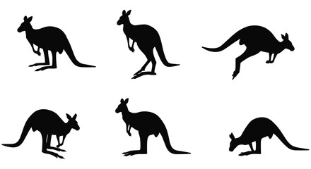 Silhouettes of kangaroos in various poses against a white background