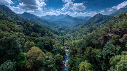 The role of forests in carbon sequestration and climate regulation