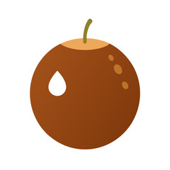 brown coconut vector