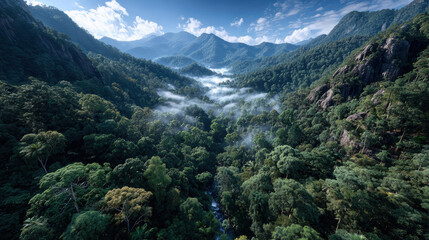 The role of forests in global biodiversity targets