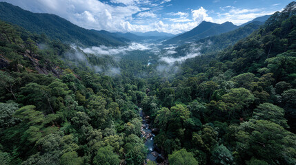 The role of forests in global biodiversity targets