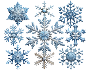 Collection of nine intricate and detailed ice crystal snowflakes in various shapes and sizes isolated on transparent background