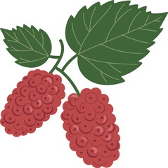 Fresh Ripe Red Mulberry Berries with Green Leaves on a Stem Ready for Bundle Design and Culinary Use