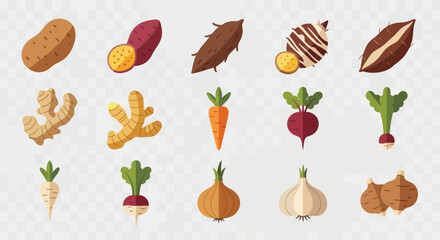 Collection of various root vegetables and tubers.