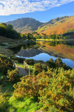 Fototapeta Buttermere lake reflections in the Lake District National Park on an autumn morning.