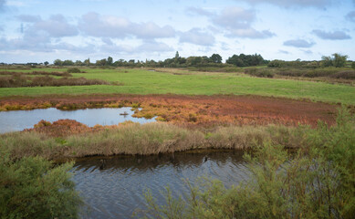 Beauvoir sur Mer, Marais Breton Vendéen, Vendée, 85, France