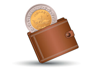 1 pound Opening of the New Suez Canal. A Egyptian 1 pound coin into the wallet.