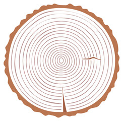 Fototapeta premium Wood Tree Trunk Cross Section Vector Illustration with Annual Rings Showing Growth and Age