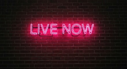 Pink "LIVE NOW" neon sign illuminates a textured dark brick wall background