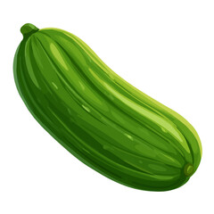 A cucumber illustration, digital painting, cucumber illustration in watercolor style, isolated on a white background, fruit collection, EPS format design