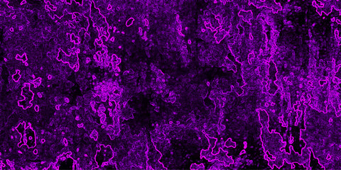 Deep purple abstract texture with glowing magenta outlines and a dark, mysterious, and organic feel suitable for digital art backgrounds