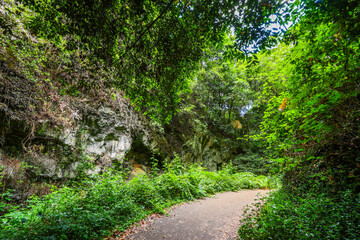 Scenic view of Cubo de la Galga hiking trail in the beautiful mysterious laurel forest. Laurisilva lush subtropical jungle on La Palma Island, Canary Islands, Spain, Europe