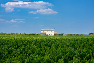 White house in Camargue (Provence)