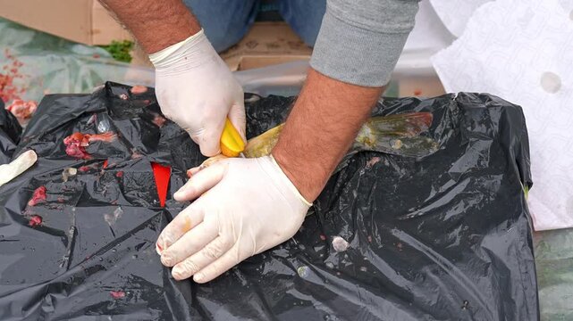 Fish Preparation Expert Techniques for Efficiently Cleaning and Filleting Different Species Learn expert techniques for cleaning and filleting fish with this comprehensive guide you can follow