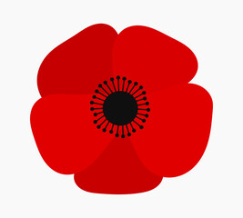 Red poppy flower illustration isolated on white background. Vector art design element.