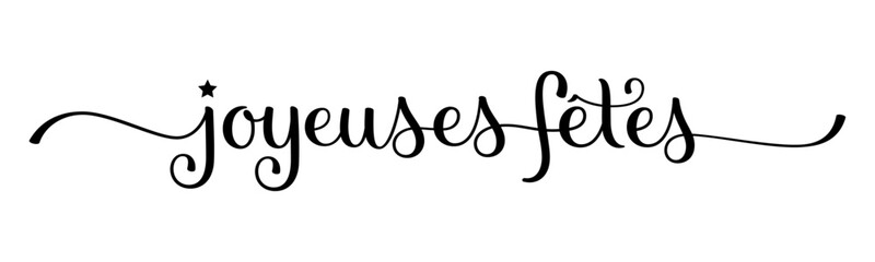 JOYEUSES FETES (HAPPY HOLIDAYS in French) black vector brush calligraphy banner with swashes