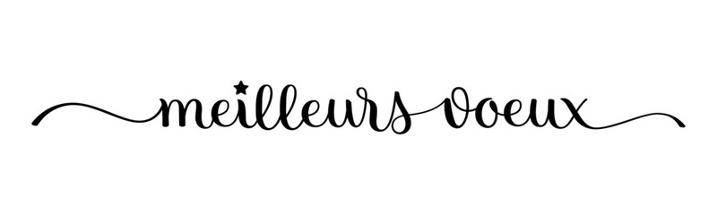 MEILLEURS VOEUX (HAPPY NEW YEAR in French) black vector brush calligraphy banner with swashes © HowLettery Studio