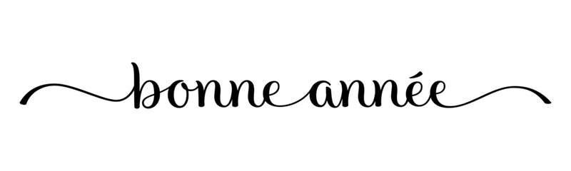 BONNE ANNEE (HAPPY NEW YEAR in French) vector brush calligraphy banner with swashes