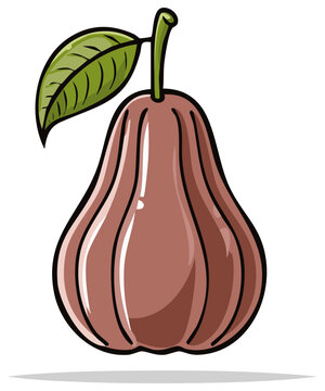 Rose Apple Fruit Tropical Jambu Vector Illustration