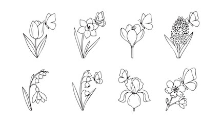 Vector art of spring flowers isolated