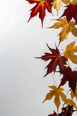 A variety of wedge-shaped leaves of different shapes, sizes and shades - from bright yellow to deep red