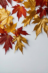 A variety of wedge-shaped leaves of different shapes, sizes and shades - from bright yellow to deep red
