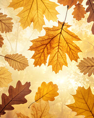 Delicate watercolor background, maple and oak leaves in warm golden tones. Soft paint transitions, translucency