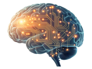 Unlock human potential with AI brain power, powering ideas and innovations, revolutionizing technology with intelligence for a smarter future now.Isolated on white background.