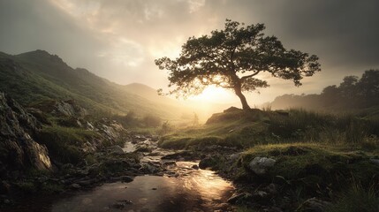 Fototapeta premium Tranquil landscape: Sunlight illuminates a solitary tree, casting a warm glow over the rocky stream and green hills. Nature's beauty unfolds.