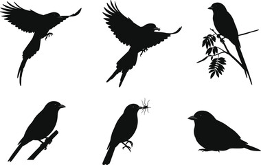 Silhouette vector illustration of birds flying, perched, and holding food on branches, perfect for wildlife, nature, decorative art designs.