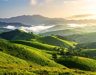 Obraz premium Lush Green Mountain Range with Mist and Golden Light Landscape