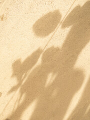 Beige background shadow pastel brown abstract backdrop summer naturedesert, template travel luxury design wallpaper surface display for presentation product cosmetic, minimalist pattern