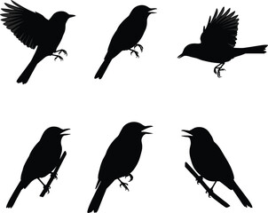 Silhouette vector illustration of small birds in different poses, perched on branches, flying, singing, simple black artwork for design.