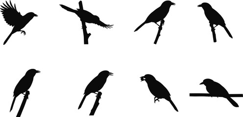 Silhouette vector illustration of small wild birds flying and perched on branches, black songbird designs perfect for decorative nature artwork collection.