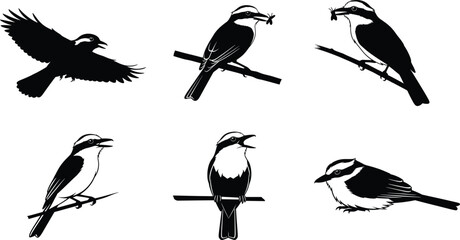Vector illustration of perched and flying birds holding insects on branches, detailed silhouette design for nature, wildlife, decorative artwork collections.