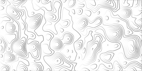 Fototapeta premium Detailed Topographic Contour Lines Vector Illustration with Concentric Circles and Irregular Organic Forms on White