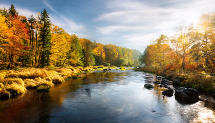 Obraz premium Autumn At The Forest River In Sunny Day