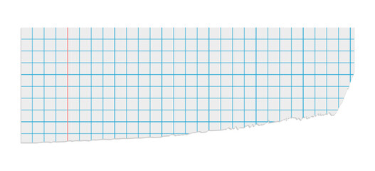 a torn piece of paper from a squared notebook without background