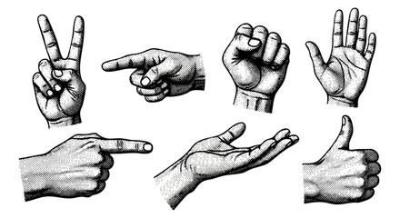 Collection of Various Hand Gestures Illustrating Communication Techniques and Human Expressions in Vintage Black and White Style