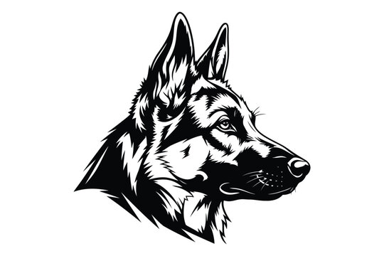 Vector art of detailed german shepherd head a majestic and loyal canine companion, captured in a striking black and white vector illustration