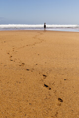 La Griega Beach. La Griega Beach in Colunga, Asturias