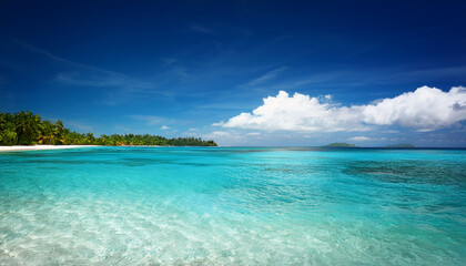 Fototapeta premium Tropical Beach Water Background