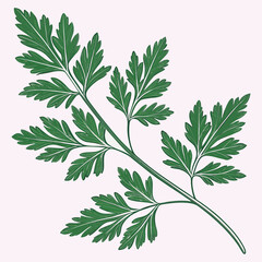 Fresh Green Botanical Leaves on White  Minimal Nature Background.
