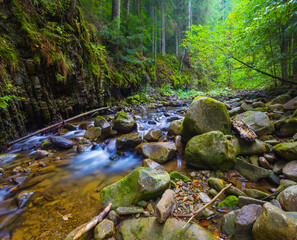 small mountain brook rushing through canyon over a stones
