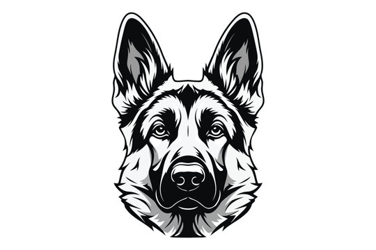 Vector art of detailed monochrome illustration of a german shepherds head, showcasing its alert expression and distinctive markings