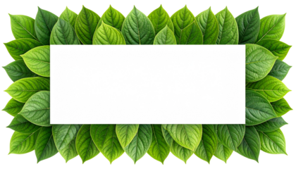  Organic Leafy Rectangle Border with Overlapping Foliage, Natural Design, Transparent PNG