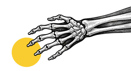 An artistic illustration of a human skeletal hand reaching for a bright yellow sun.